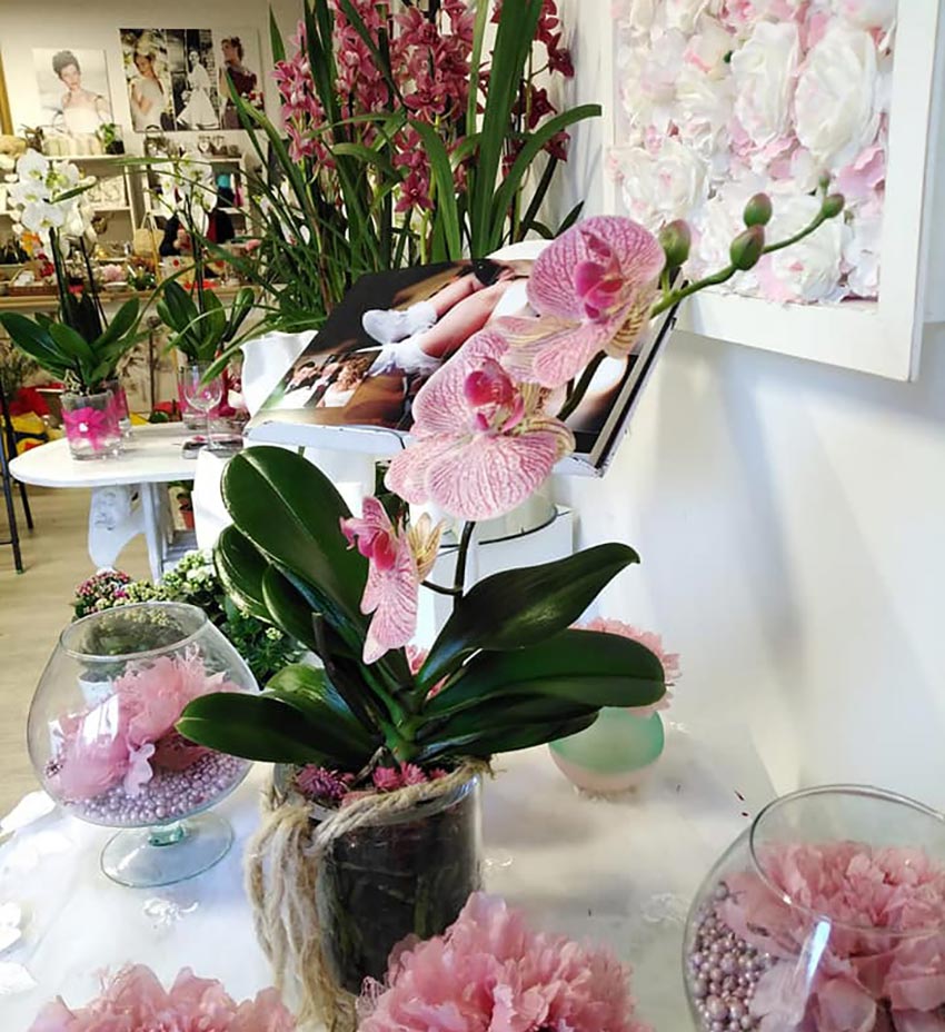 Fiori, Piante e Composizioni Floreali | LA ROSA BIANCA VIANO REGGIO EMILIA