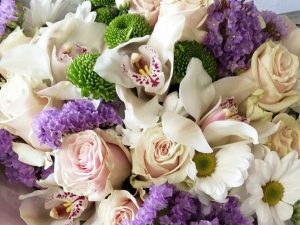 Fiori e Piante per Giardini Balconi Matrimoni e Cerimonie | LA ROSA BIANCA VIANO REGGIO EMILIA