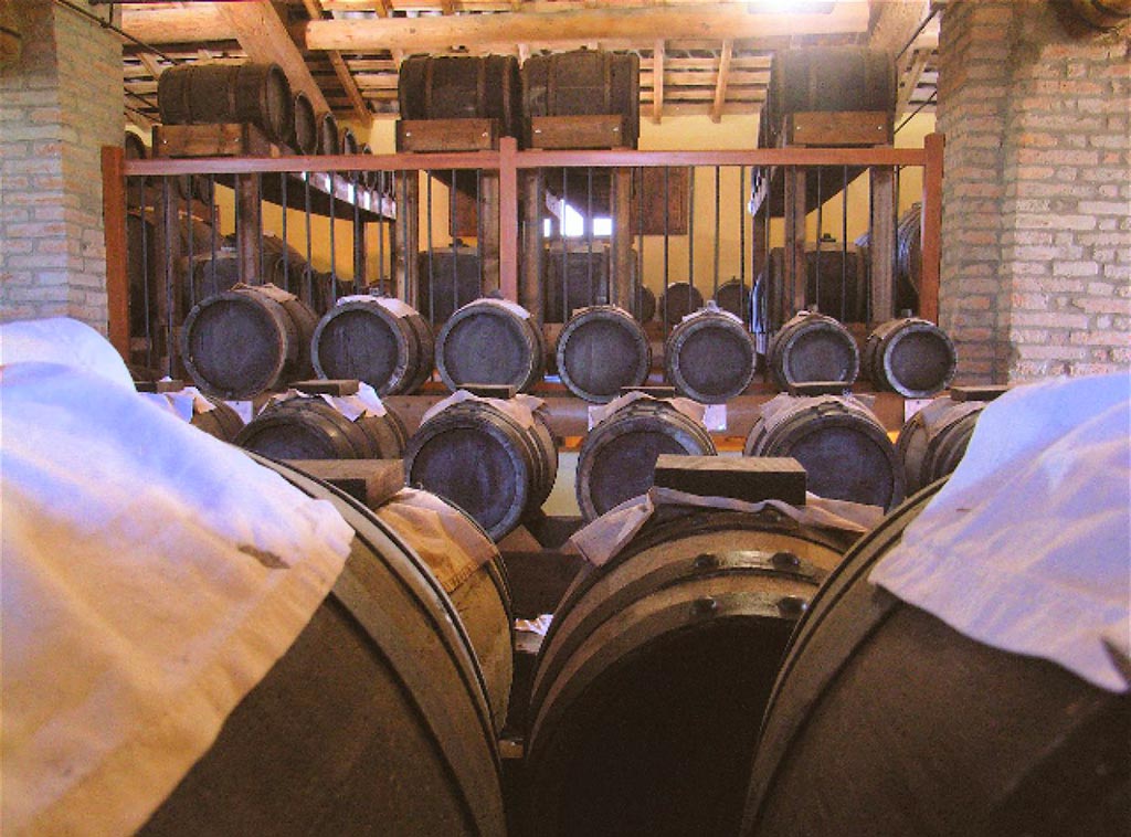 Visite Guidate in Acetaia | ACETAIA CASA TIRELLI NOVI DI MODENA Visite Guidate in Acetaia | ACETAIA CASA TIRELLI NOVI DI MODENA