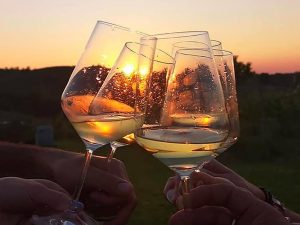 Cantina Vinicola Fratelli Piacentini | SOTTOCASATUA