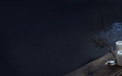Protetto: Articolo Prova 4